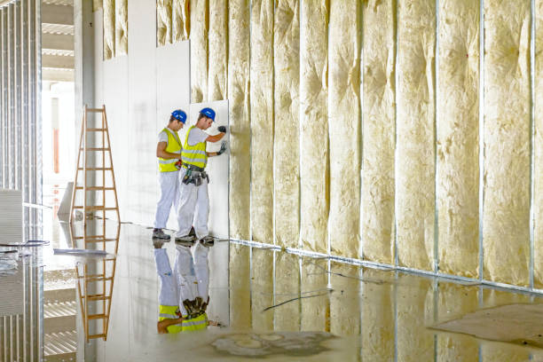 Best Fiberglass Insulation in Indian Head Park, IL